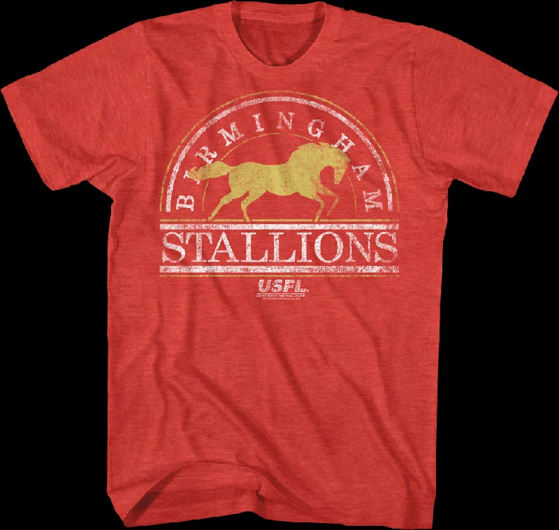 Men's modern casual t-shirt-Birmingham Stallions USFL T-Shirt