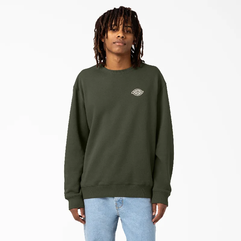 Men's eco-friendly casual hoodie-Dickies Men's Holtville Sweatshirt