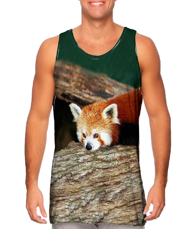 Red Panda Wonder