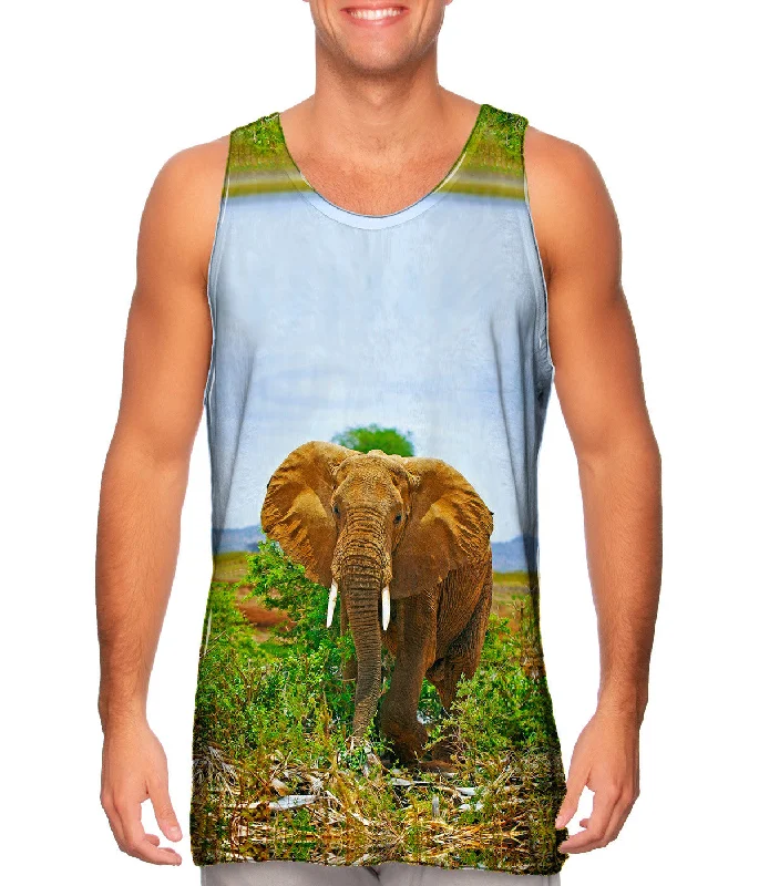 Safari Elephant