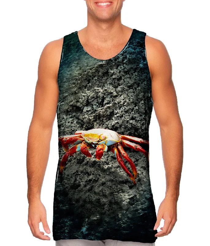 Sally Lightfoot Crab