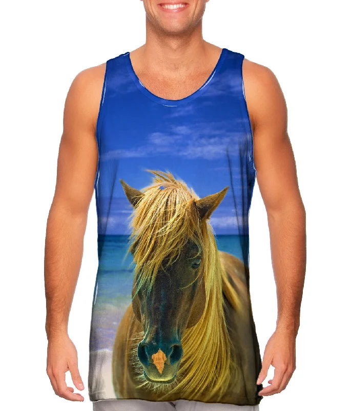 Sand Swept Beach Horse